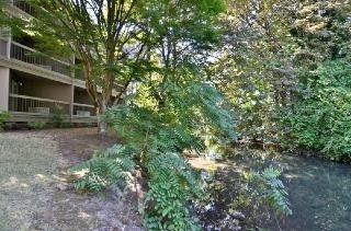 Best Western Greentree Inn4