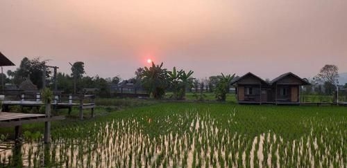 Baan Klang Na Resort0