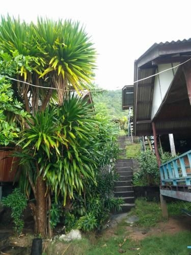 Back To Nature Hut (Back To Nature)2
