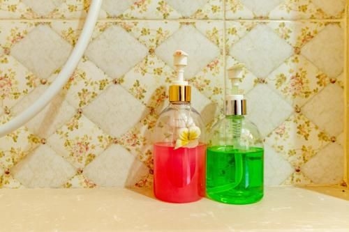 AA Birds Hotel3