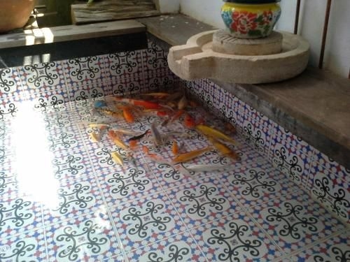 Thung Yang House1