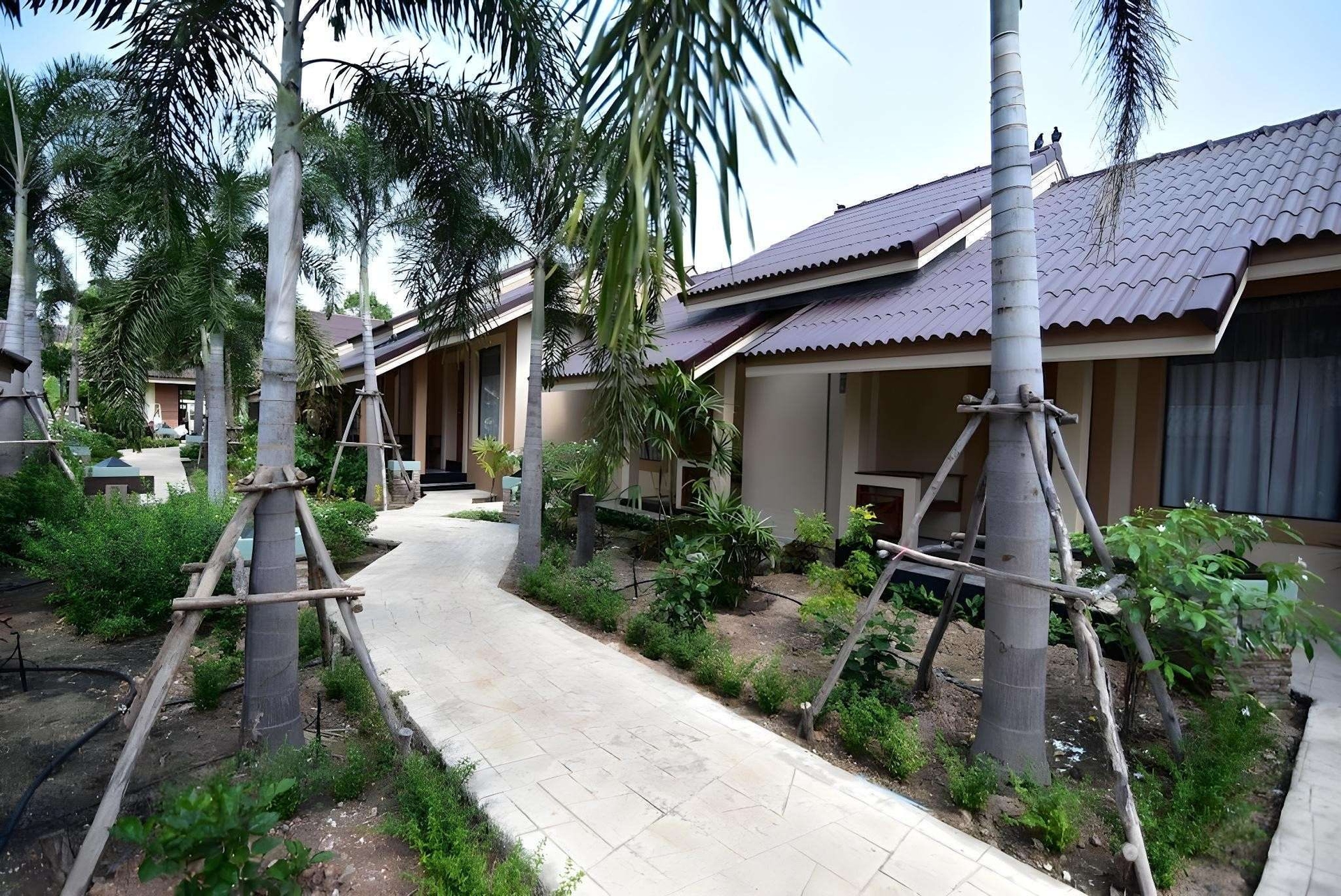 มะม่วงป่า ฮิลไซด์ รีสอร์ท (Mamaungpaa Hill resort)0