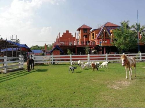 Dome Ing Prao Cowboy Home-stay0