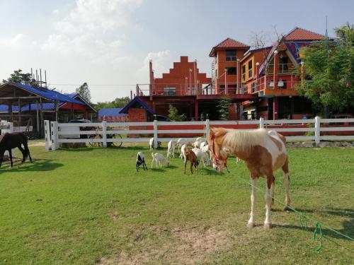Dome Ing Prao Cowboy Home-stay3