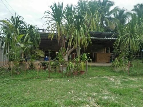 Baan Ton Koon0
