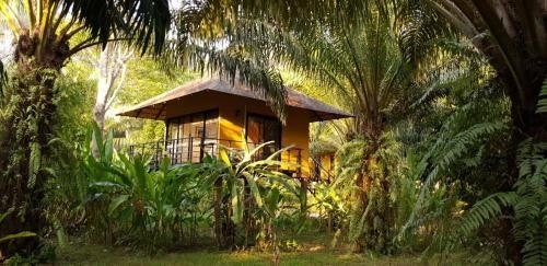 อนุรักษ์ คอมมูนิตี้ ลอดจ์ (Anurak Community Lodge)0