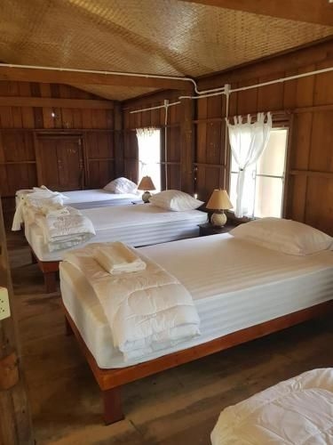 ChiangDao Brown Hostel2