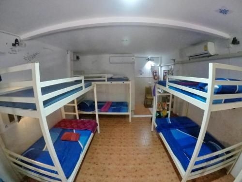 ้hangover hostel (Hangover hostel)4