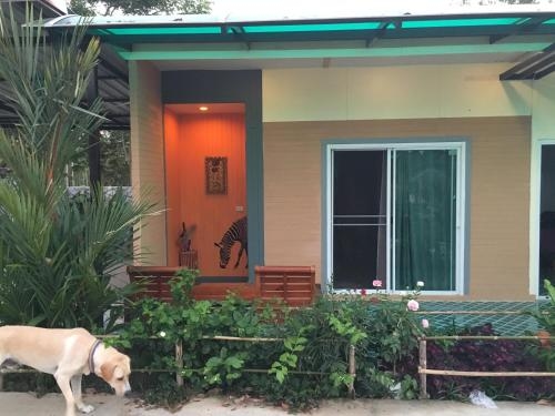 อาชาเล่ย์ รีสอร์ท (Ashaley Resort)2