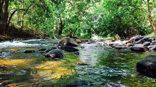 ภูธาร รีสอร์ต PHU THAN RESORT (Phu Than Resort)1