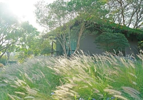 Sasi Villa0