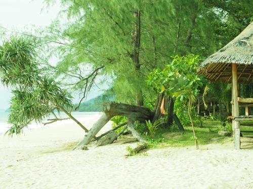 Cocobar&Bungalow4