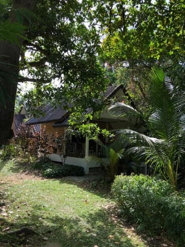 Laem Sai Bungalow0