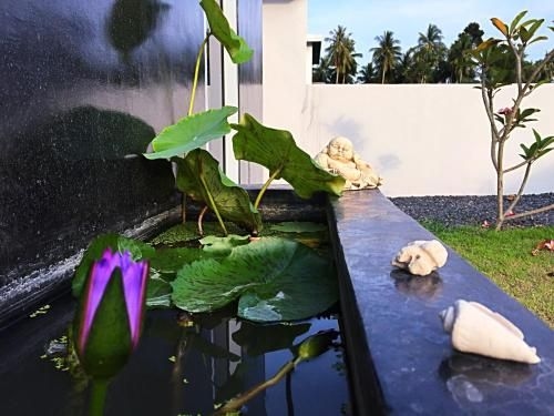 Villa Nora1