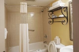 Best Western Plus Dallas Hotel & Conference Center3