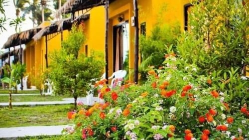 Butterfly Bungalows2