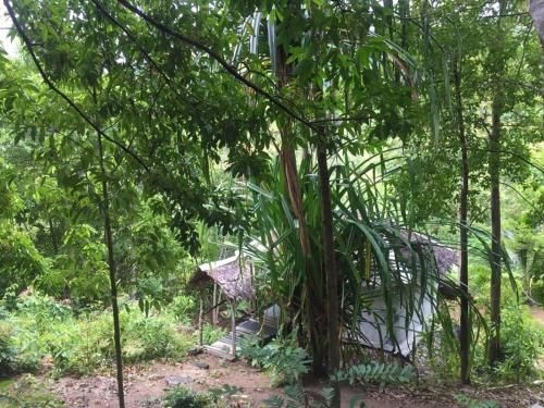 BAAN THONG NANG (Baan Thong Nang)3