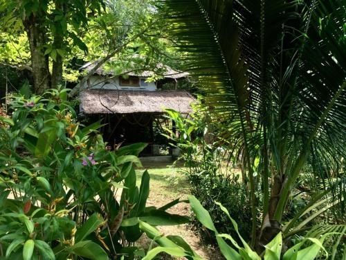 BAAN THONG NANG (Baan Thong Nang)2