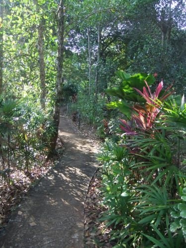 Coconut Villa3
