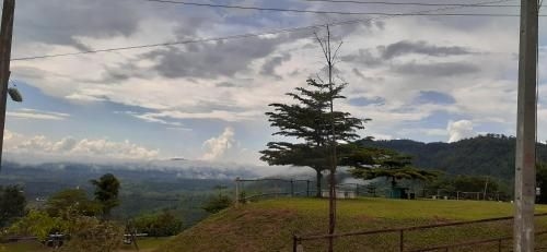 Carlidoland4