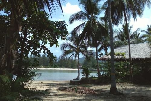 Bamboo Bay4