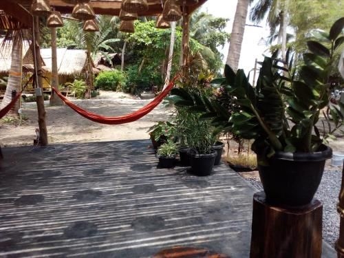 Bamboo Bay1