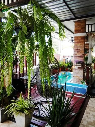 ไวลเดอร์เนส เบด แอนด์ เบรคฟาส (Wilderness Bed And Breakfast)0