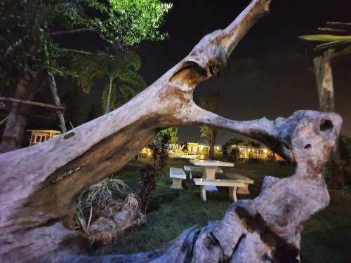 พลากูน รีสอร์ต (Phalagoon Resort)2