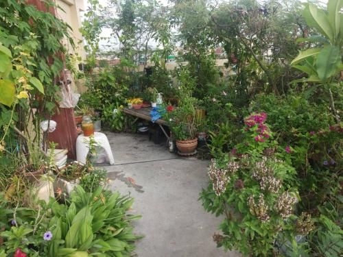 Shambhala Hostel2