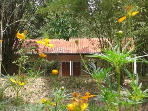สวนบางบอน (Suan Bang Bon B&B Inn)0