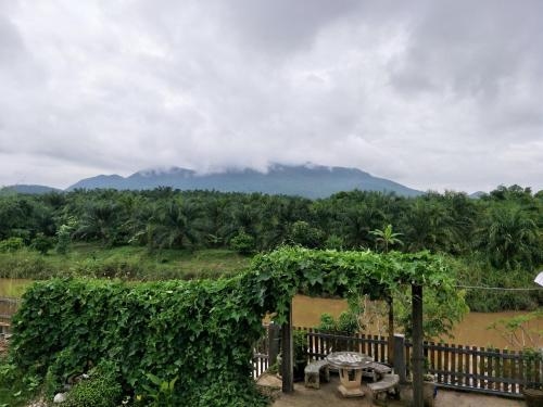 Teak villa1