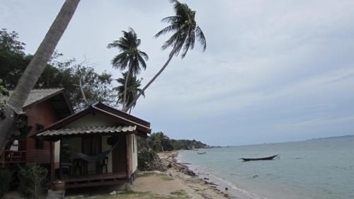 Bird bungalows1