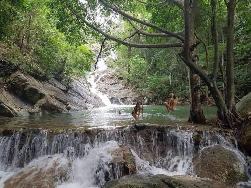 Paradise Waterfall House0