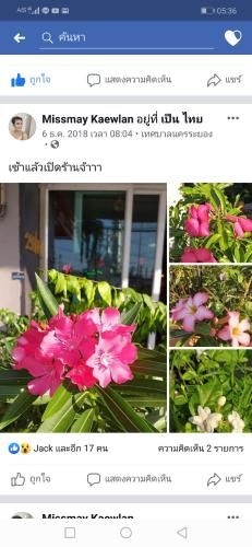 เอกลักษณ์ไทย (Aekkalukthai)3
