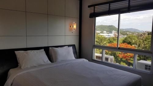 FLAME TREE SUITE1