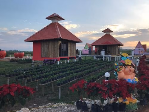 ประยูร ภูพิงรีสอร์ท (Payoun Phupingresort)2