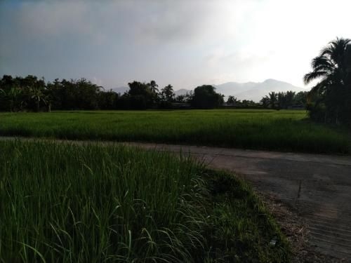 Baan Din Khun Kru4