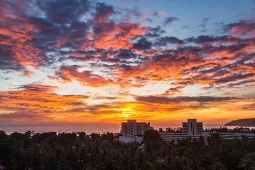 The Palm at Karon Hill by Lofty0