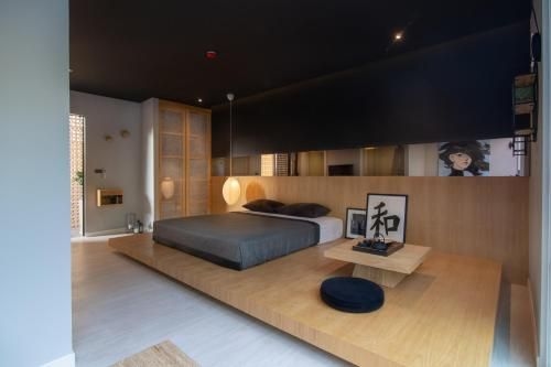 Zen Studio Suite by Holiplanet0