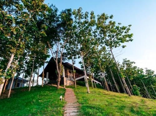 เชียงโขงริเวอร์ไซด์รีสอร์ต (Chiang Klong Riverside Resort)4
