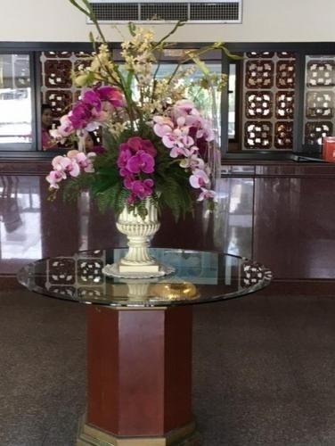 Palm Suites2