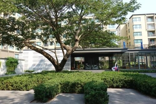 Rain Cha am - Hua hin - Pool accessed suite1