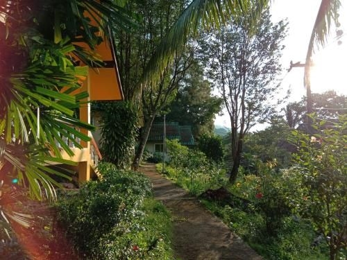 Coconut Garden3