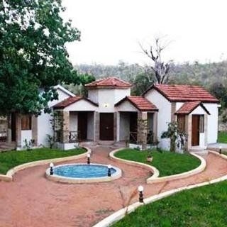 The Wildflower at Bandhavgarh0