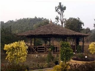 The Wildflower at Bandhavgarh3