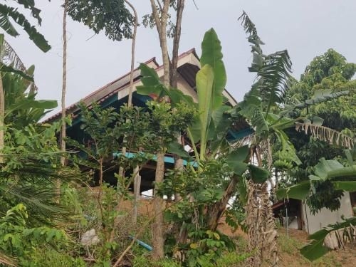 Three Monkeys Bungalows4