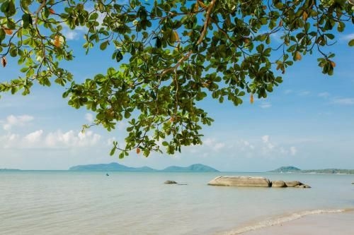 Deva Raksa Haven Detox Retreat4