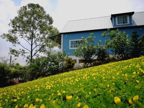 ทิพย์ เฮาส์ (Tip House)0