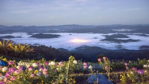 Baan Phu Mork1