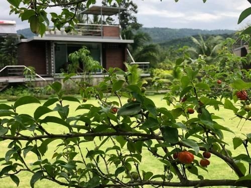 Baan Boom Boxes Resort3